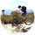 Martin Avatar